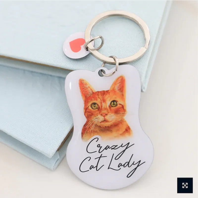 Crazy Cat Lady, Cat Mum, Best Friend Has Paws Enamel Heart Keyring Bag Charm