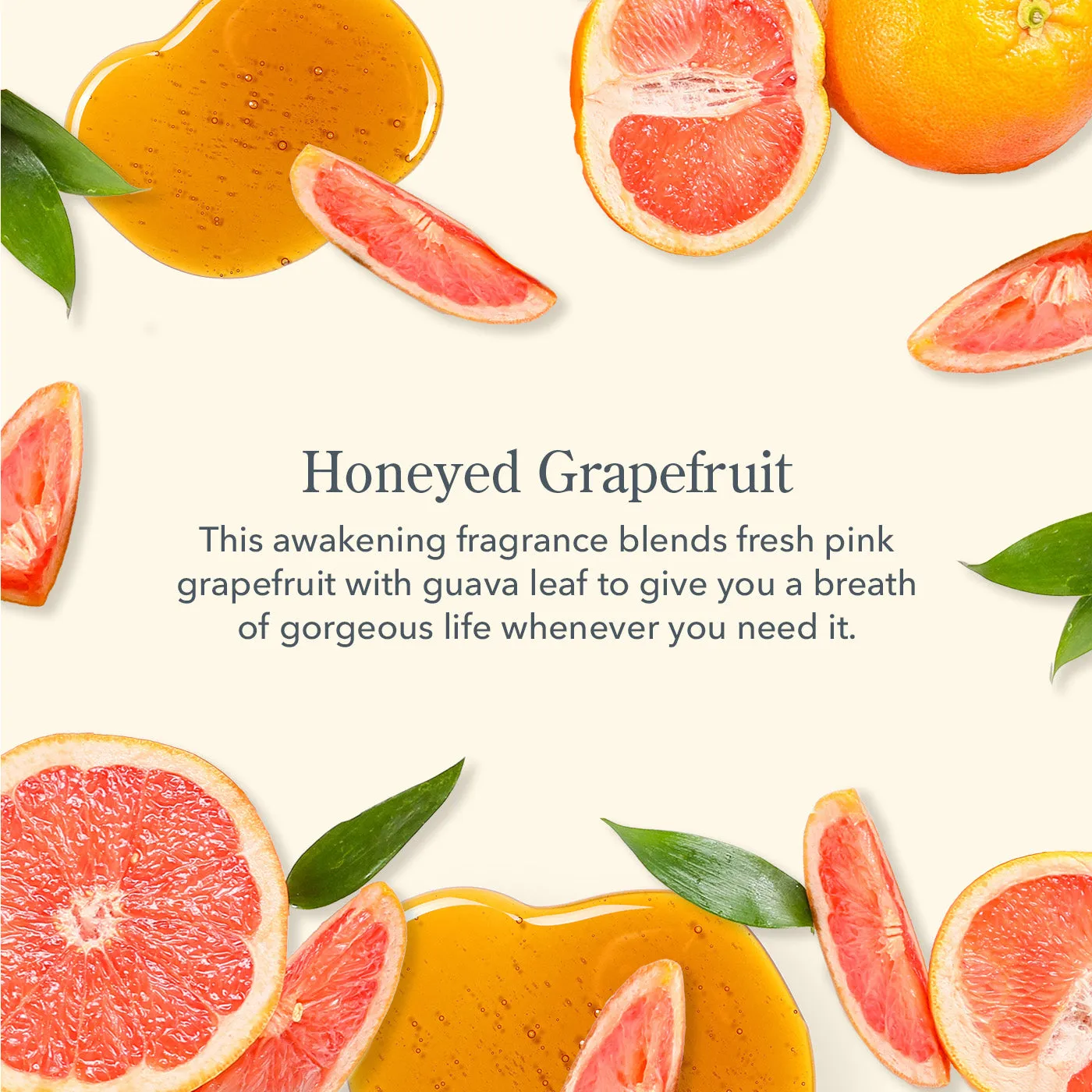 Honeyed Grapefruit 3-Pack Of Sheer Tinted Lip Balms