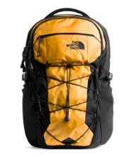 The North Face Borealis 28L Urban Backpack - Adult's