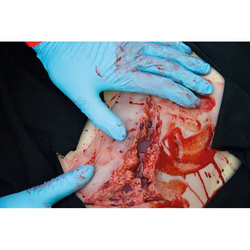 Wound Moulage Cut and Laceration Simulation Kit